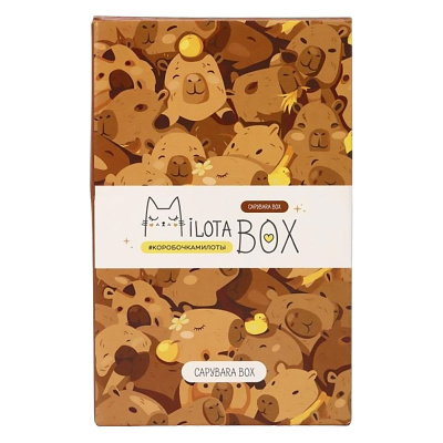 Подарочный набор MilotaBox mini Capybara Box iLikeGift MBS031 01